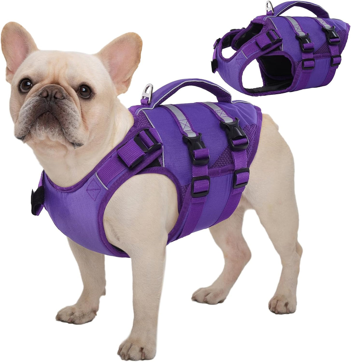 Kuoser Dog Life Jacket, High Flotation Dog Life Vest for Swimming Boating – Essentials for Dogs - High‑Vis Purple / M (Chest Girth:20.47-25.2'')