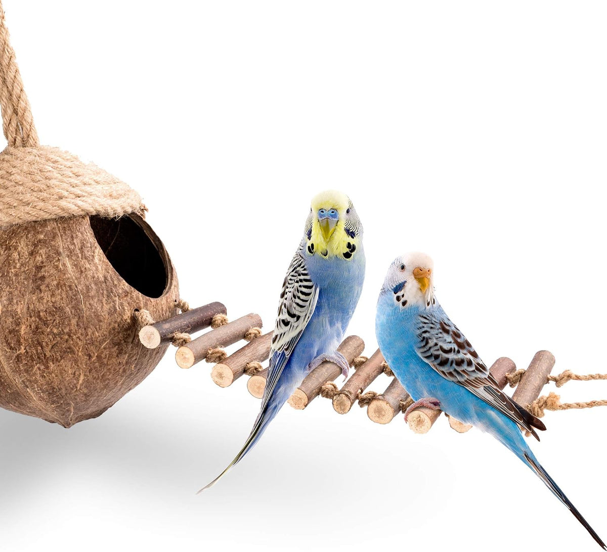andwe Coconut Bird Nest Hut with Ladder – Essentials for Birds - image 2