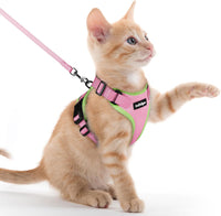 rabbitgoo Cat Harness and Leash Set, Escape Proof Vest - Xxs / Pink & Light Green