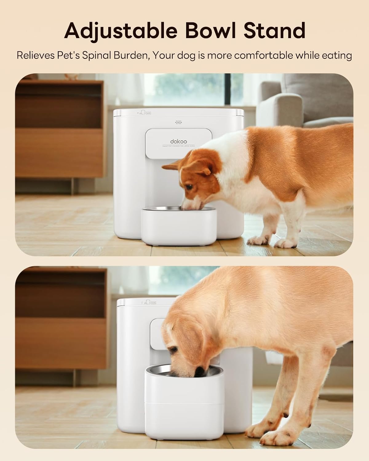 Dokoo Automatic Dog Feeder for Large Breeds, Timed Feeding - image 4