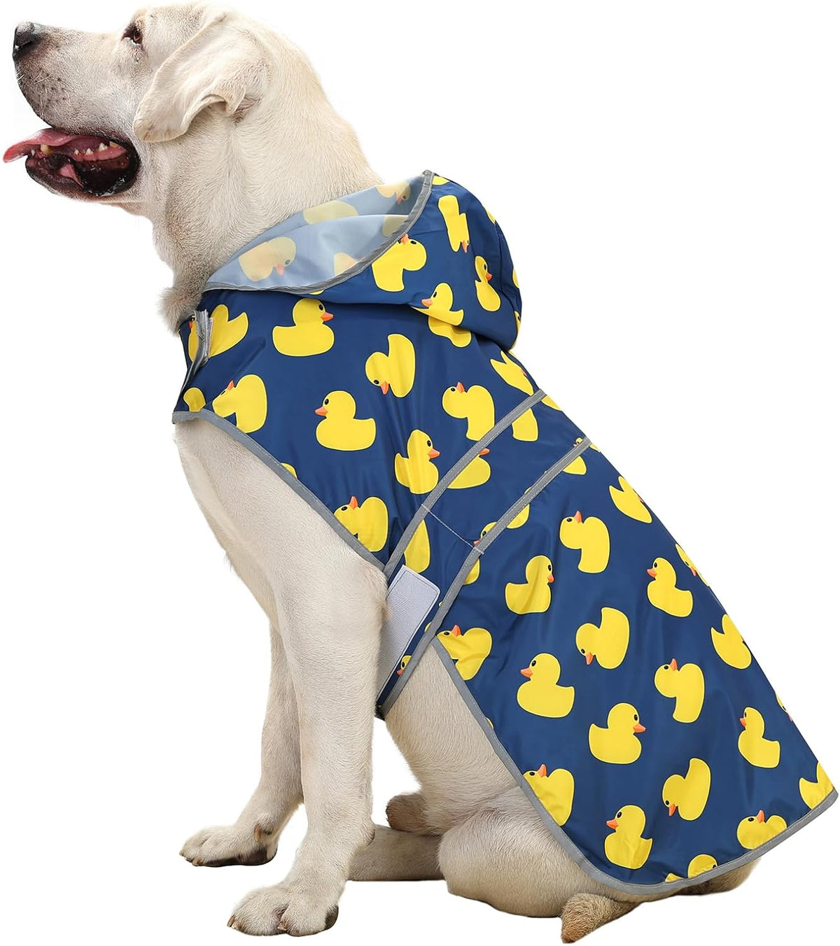 Dog Raincoat, Waterproof Dog Rain Jacket with Hood - Navy Blue Duck / X-Large - image 2