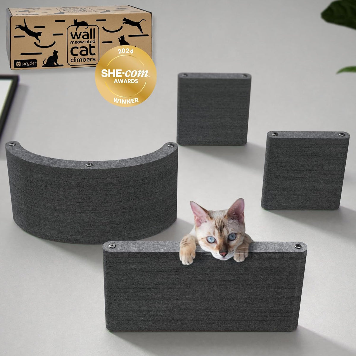 Cat Wall Shelves Set, Indoor & Outdoor by Pryde Pets - Charcoal / 4 Cat Climbers