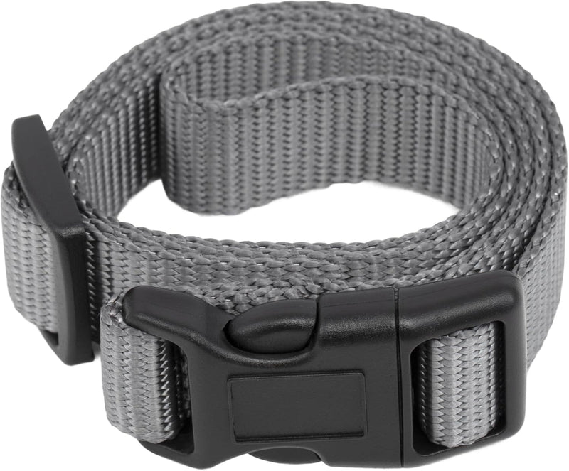 PetSafe 3/4 Inch Replacement Collar Strap, Rust/Red – Essentials for Dogs - Grey
