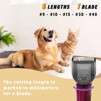 3-Pack 5-in-1 Replacement Blade Compatible with Wahl Animal Bravura - Black / 3 Pack - image 2