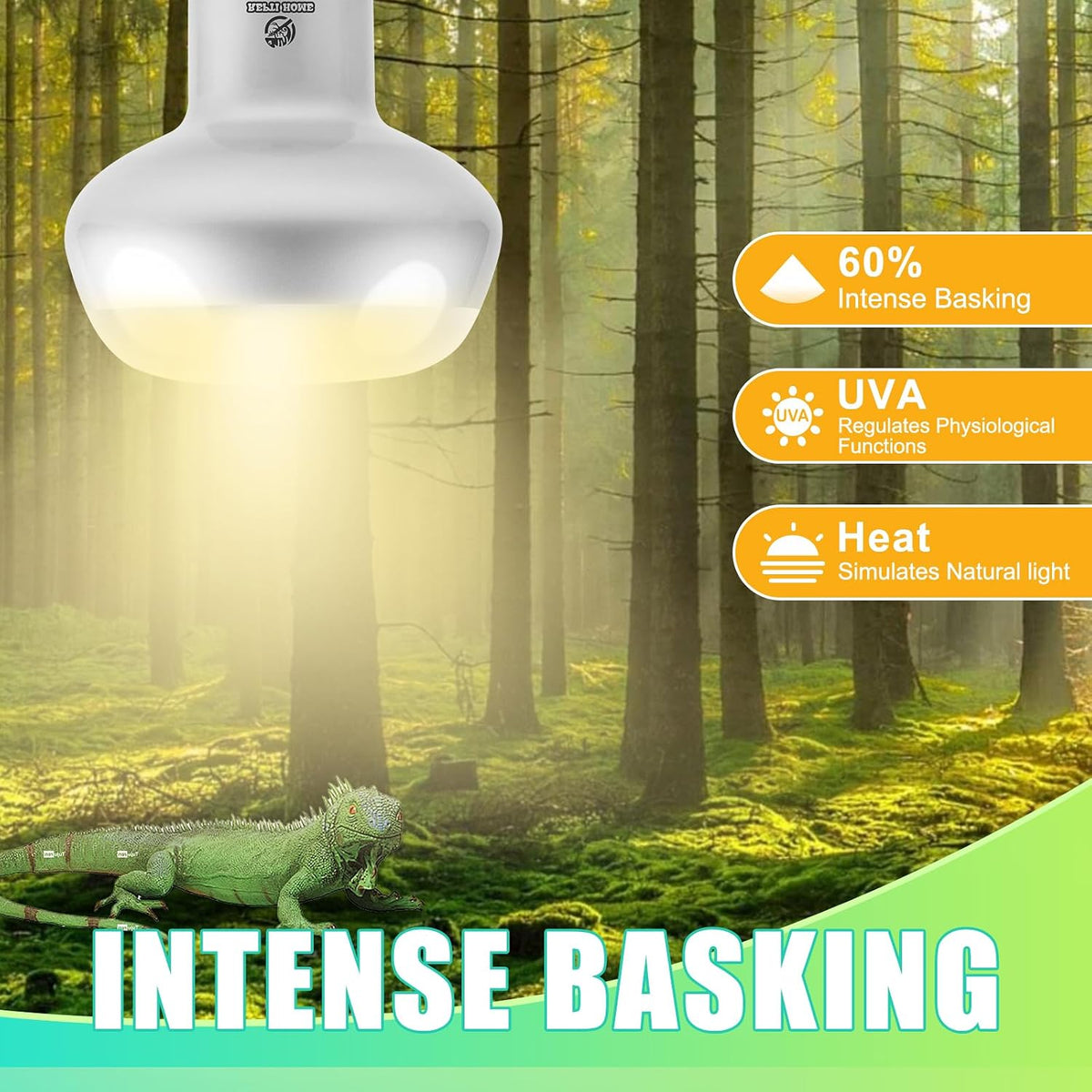 Reptile Heat Lamp Bulbs, Simulate Natural Sunlight Heat Light Bulb, 2 Pack 100W Amphibian Terrarium - Intense Light / 2*100 - image 2