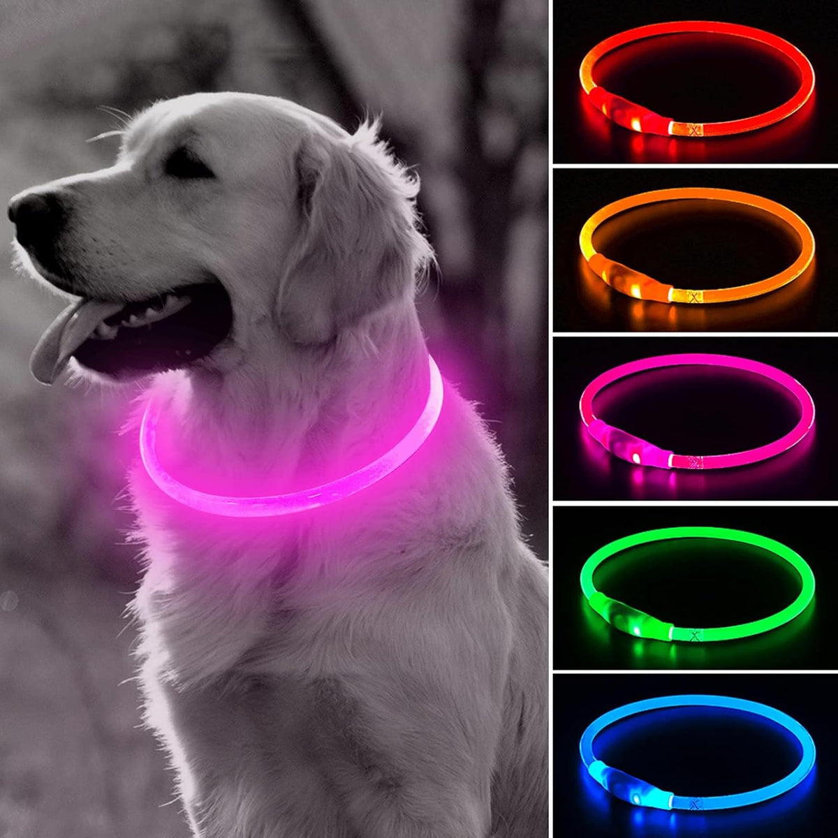 Light Up Dog Collar – Essentials for Dogs - Pink (70cm)