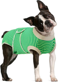 FUAMEY Dog Recovery Suit Male,Dogs Surgery Neuter Suits Puppy Spay Shirts for Female Protect Dog's Skin Anti Licking Abdominal Wounds Doggie Onesie Pet Bodysuit Alternative to Cone Green Stripes L