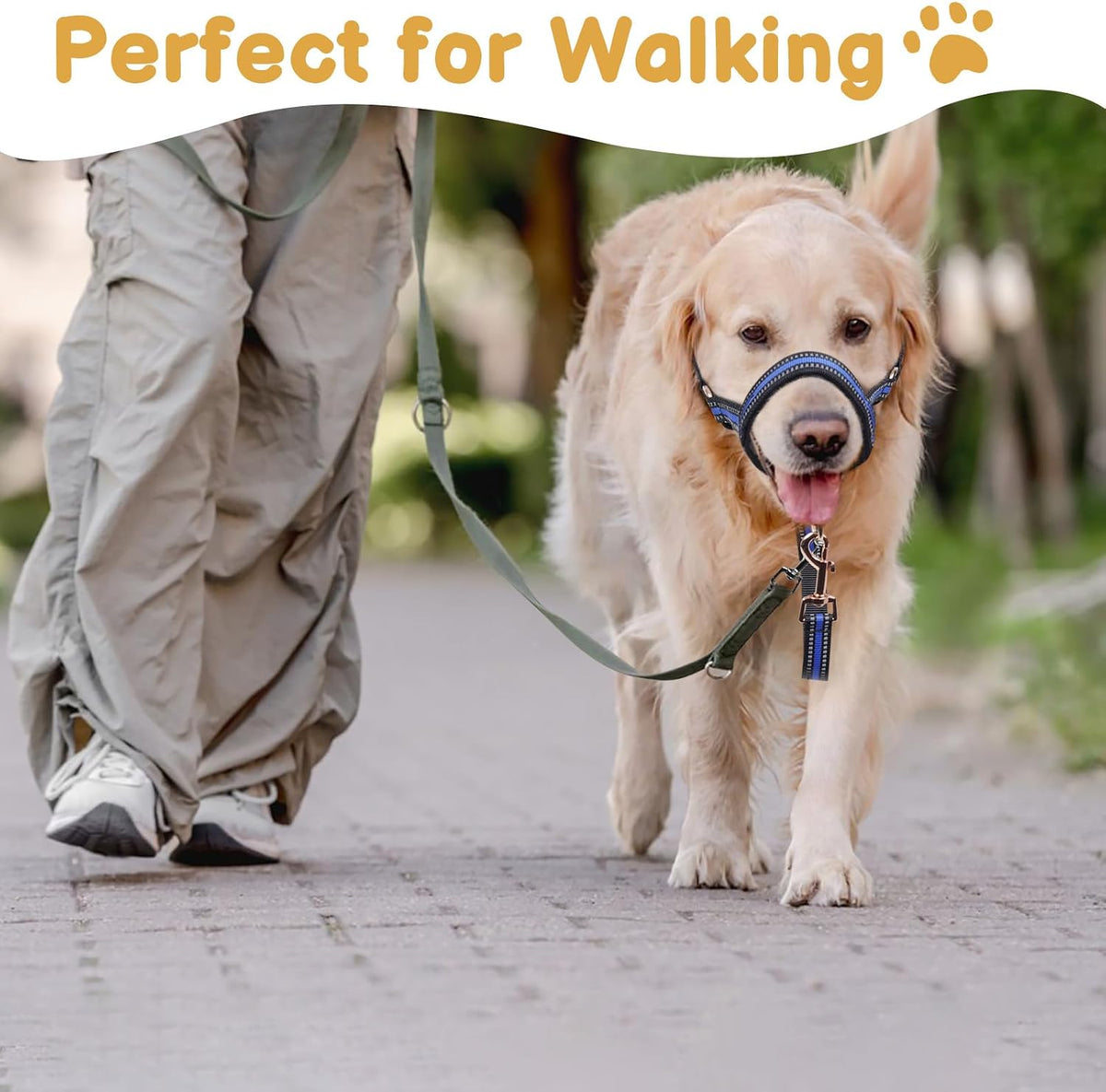 Muzzle Leash for Heavy Pullers, No Pull Stylish Head Halter – Essentials for Dogs - Blue / L (Snout Cir: 11"-12½”) - image 4