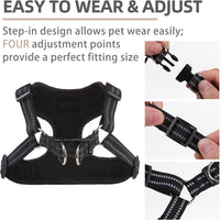 PUPTECK Dog Harness and Leash Set Small Sized - XS (9-13lbs, Chest 14"-16") / #1 Blue(Breathable Mesh) - image 3