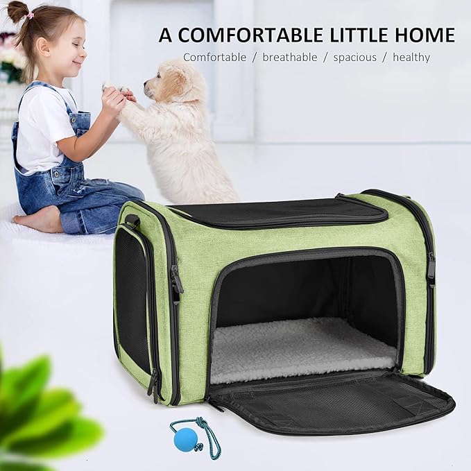 Pet Carrier for Small Medium Cats Dogs Puppies up to 15 Lbs, Airline Approved Small Dog Carrier Soft Sided, Collapsible Travel Puppy Carrier - Green