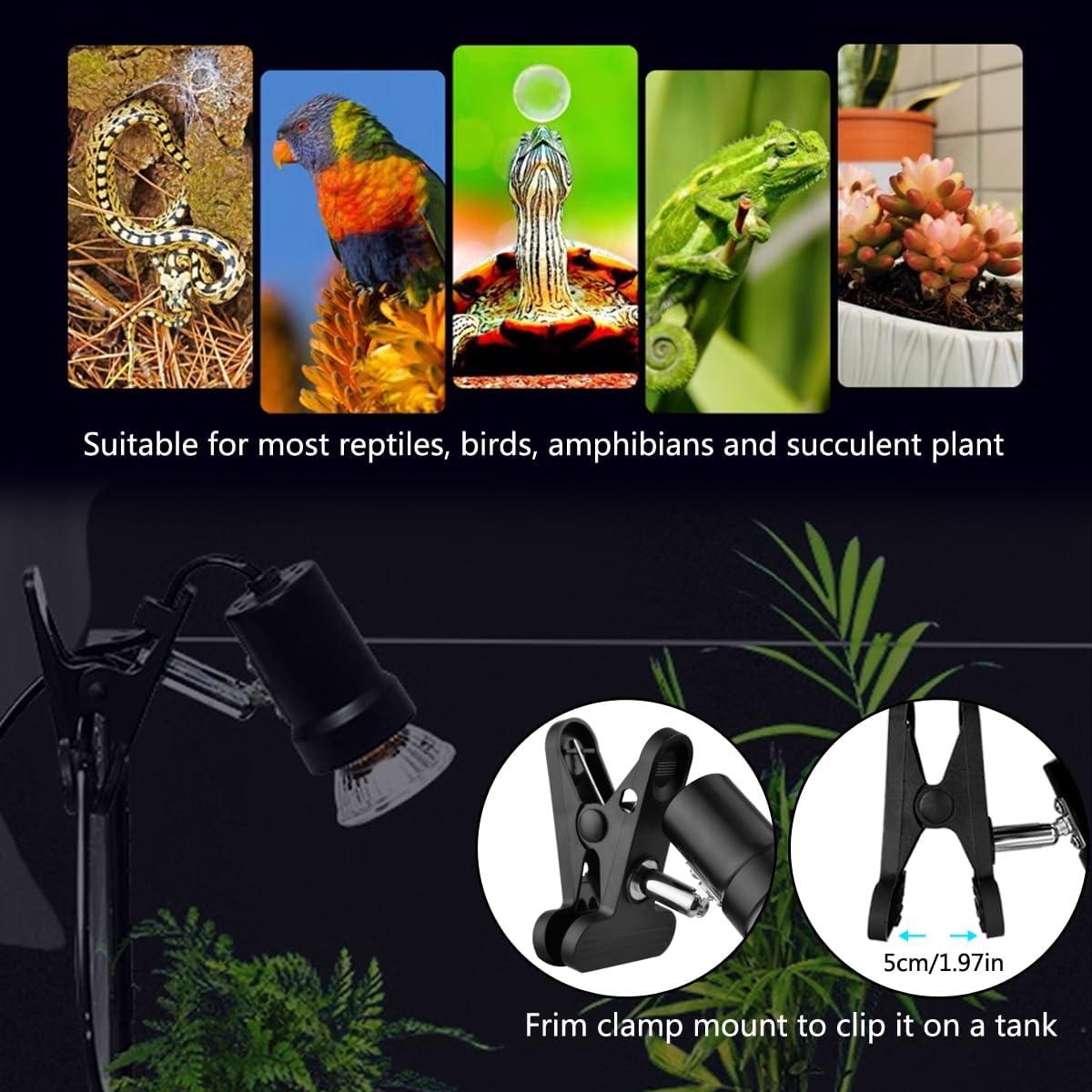 Reptile Heat Lamp with 50W UVA UVB Light Bulb - image 3