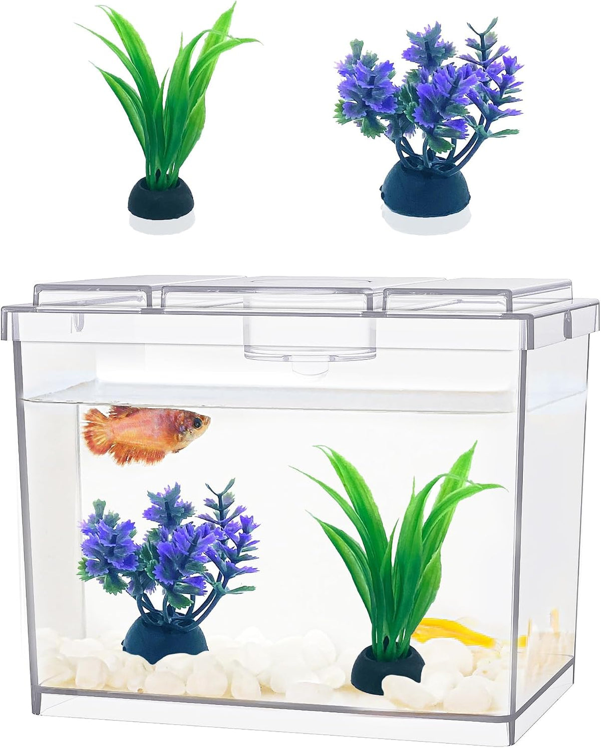 MoonOrange Mini Betta Fish Tank Kit with LED Light Base - Mini Tank 02