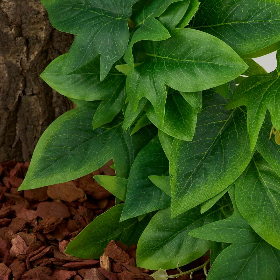 Fake Calathea Orbifolia, Reptile Terrarium Suction Plants – Essentials for Fish - Fake Sweet Potato Vine - image 4
