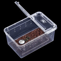 Irenare 8 Pcs Reptile Breeding Breeding Box Plastic Spider Terrarium Tarantula Feeding Box for Bearded Dragon Lizard Spider Gecko Scorpion(Vent Holes,5.9 x 3.9 x 2.5 Inch)