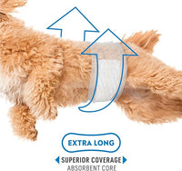 Paw Inspired Select Fit Male Dog Diapers, Disposable Male Wraps with Wetness Indicator| Belly Bands for Small, Medium, Large Dogs (Large, 20 Count)
