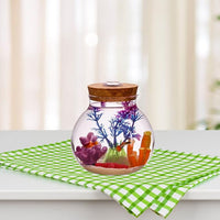 Fish Bowl with LED Light - Small Betta Fish Tank with LED Lighting and Lid Glass Fish Bowl Small Aquarium Glass Terrarium Container Bottle for DIY Landscape, Home Decor