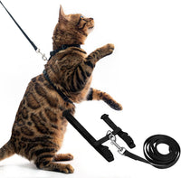PUPTECK Adjustable Cat Harness and Leash Set Escape Proof Kitten - Medium / Black