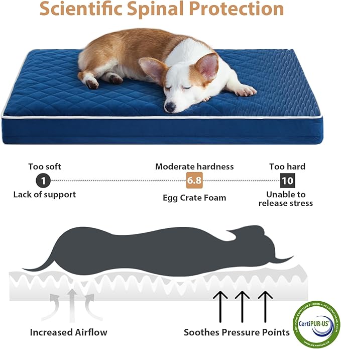WNPETHOME Orthopedic Dog Bed for Crate, Waterproof Extra Large Dogs Bed with Removable Washable Cover, Multi-Needle Quilting Dogs Crate Beds