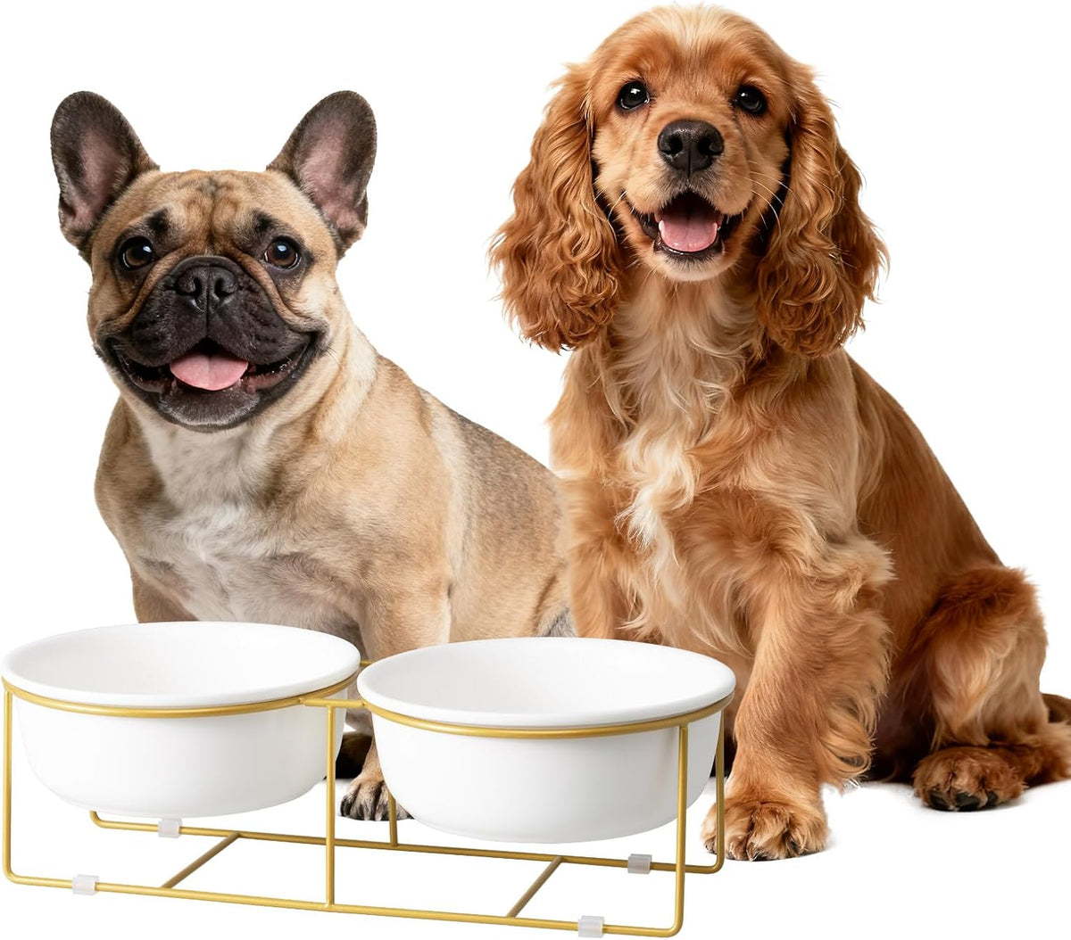 Small Glass Tilted Elevated Cat Dog Bowl Raised Cat Food Water Bowl - Large / White×2-Flat