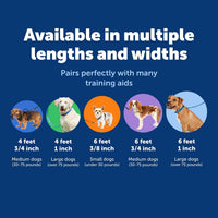 PetSafe Nylon Dog Leash, Strong, Durable - 1 Count (Pack of 1) / Royal Blue - image 2