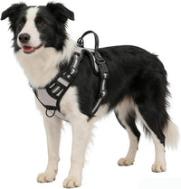 Blue No-Pull Dog Harness with 2 Leash Clips，Soft Padded Vest - Small / Gray - image 4