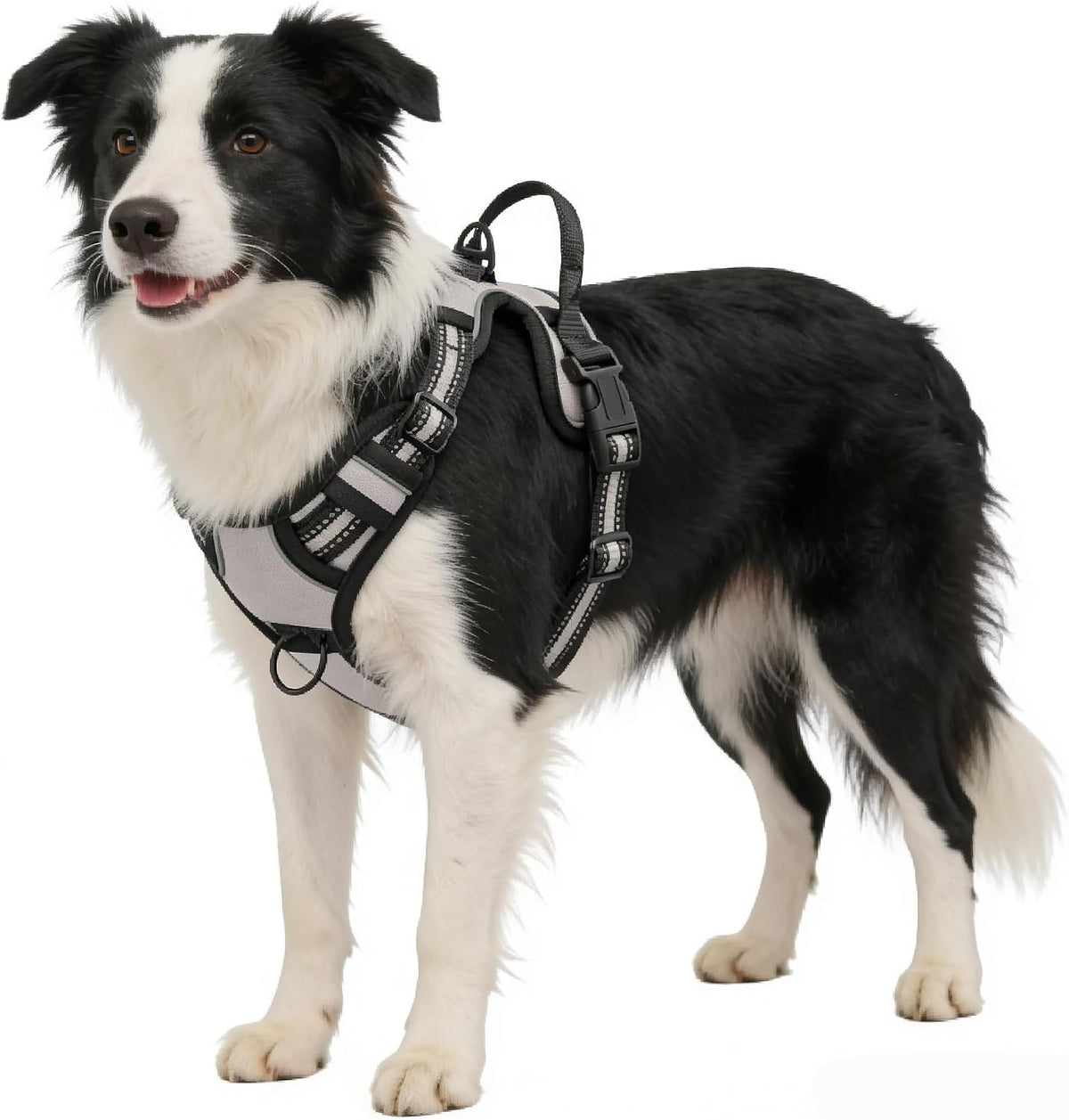 Blue No-Pull Dog Harness with 2 Leash Clips，Soft Padded Vest - Small / Gray - image 4