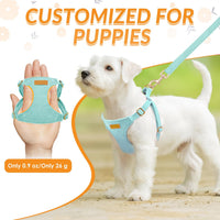 SlowTon No Pull Dog Harness with Leash for Small Medium Dogs - XX-Small(2.2-6lb) / Solid Teal - image 2
