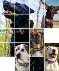 Dog Collar for Large Dogs, with Handle 2" Wide Heavy Duty - Camo Greed / M - image 2