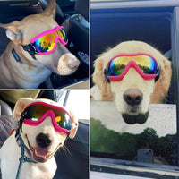 Enjoying Clear Dog Goggles Medium to Large Breed - Neon Pink / Large Breeds - image 2