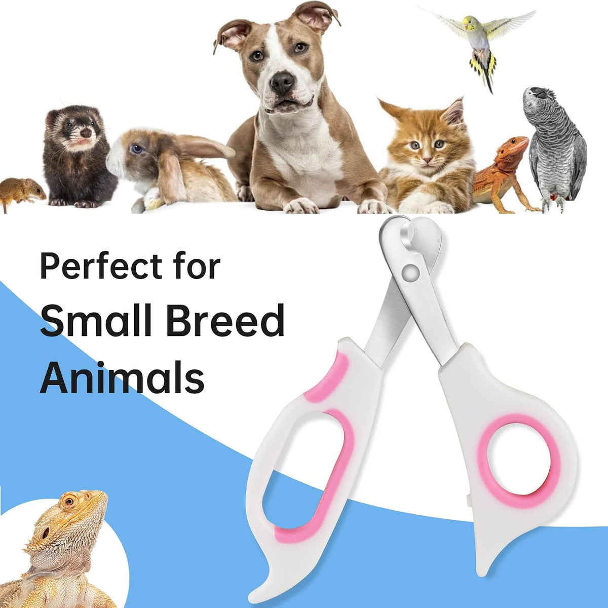 Bearded Dragon Nail Clippers with Precise Angled Edges – Essentials for Small Pets - Pinky White - image 4