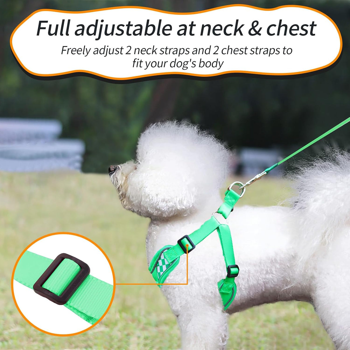 Dog Harness with Leash Set, No Pull Adjustable Step in Pet Vest – Essentials for Dogs - Green (denim) / S - image 2