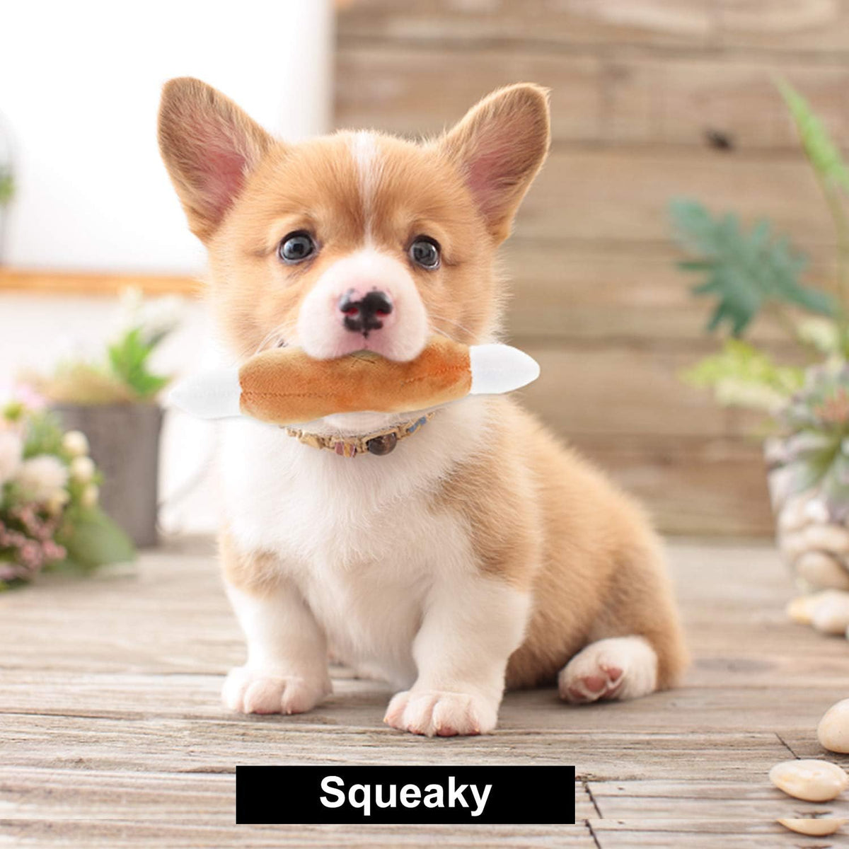 Nocciola Dog Squeaky Toys, Plush Small Dog Toys for Dogs - image 4