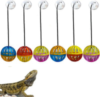 6 Pack Bearded Dragon Toys Accessories