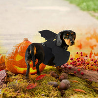 Dog Halloween Costume, Halloween Bat Wings for Dogs Cats - Large - image 2
