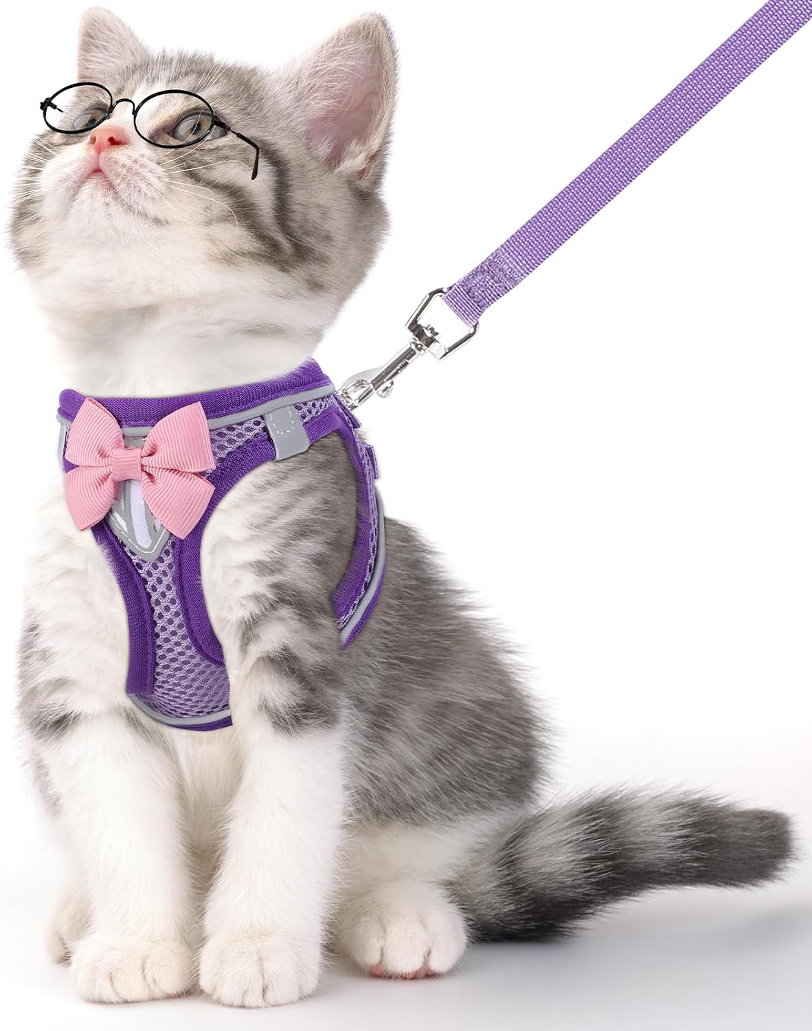 Cat Vest Harness and Leash Set - Purple / M
