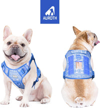 AUROTH Dog Harness for Large Dogs - Tribal Patterns-Blue / S(Neck:14-21",Chest:20-31"),18-35 lbs - image 2