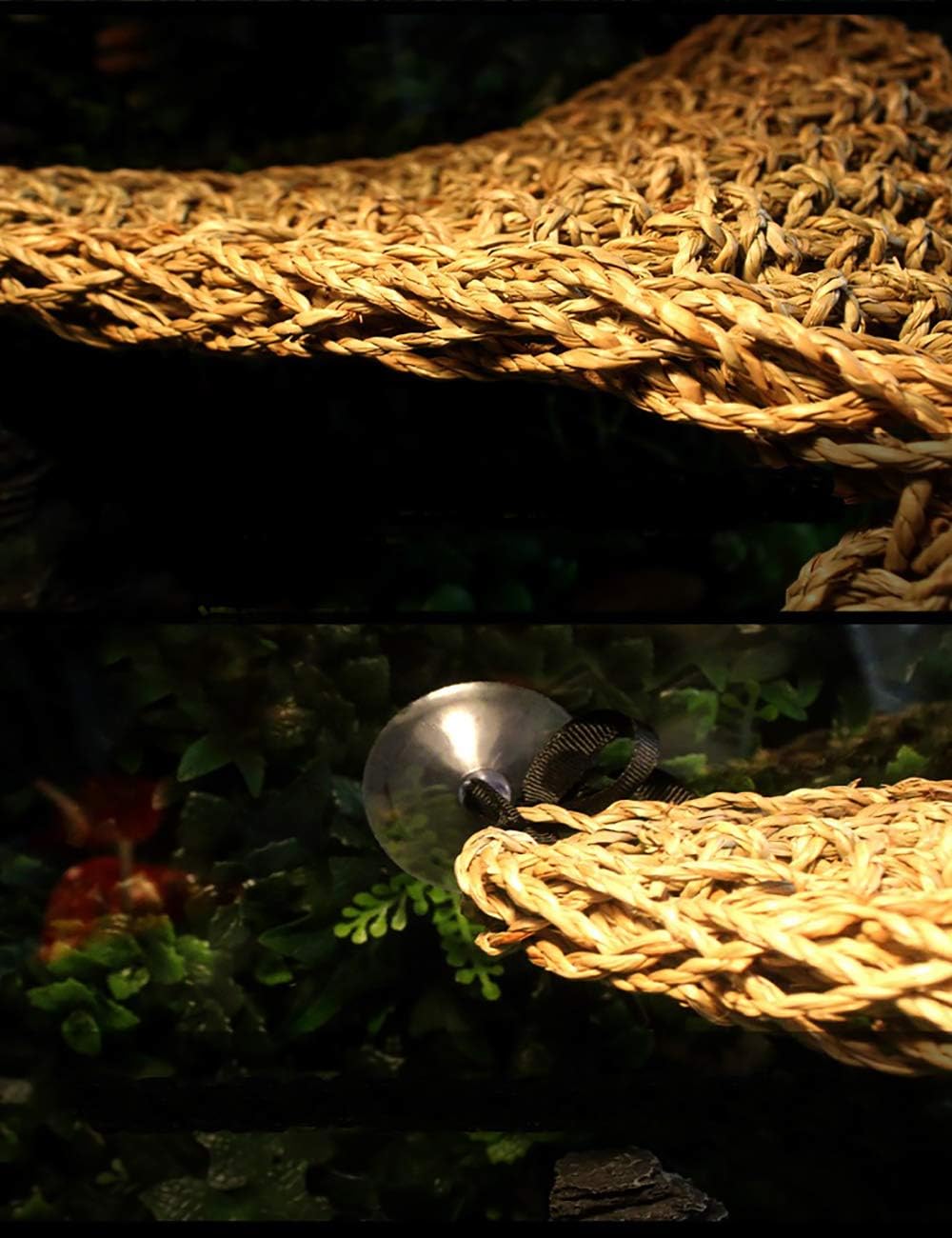 2 Pack Bearded Dragon Hammock, Reptile Climbing Decor - 12x8In - image 4
