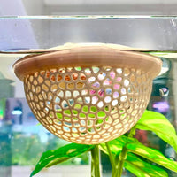 2pcs Wood Fish Feeding Ring for Aquarium，Floating Betta Hammock - Wood / 1pcs big and 1pcs small floating version