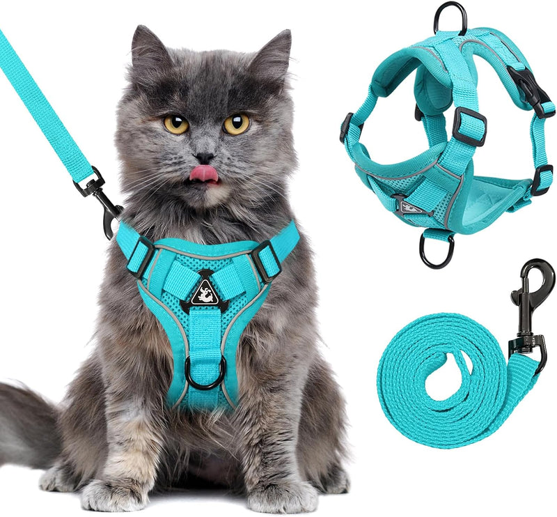 XL Cat Harness Escape Proof for Heavy Cats Adjustable for Extra Large - M / Turquoise