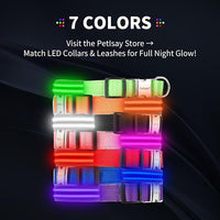 LED Dog Collar with Metal Buckle - USB Rechargeable Glow Collar for Dogs, Waterproof Light Up Dog Collar w/Reflective Strips - Adjustable Night Safety Collars by PetIsay(Red,Medium)