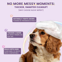 IMMHABI 400 Count Hypoallergenic Dog Wipes - Lavender / 50 Glove Wipes - image 4