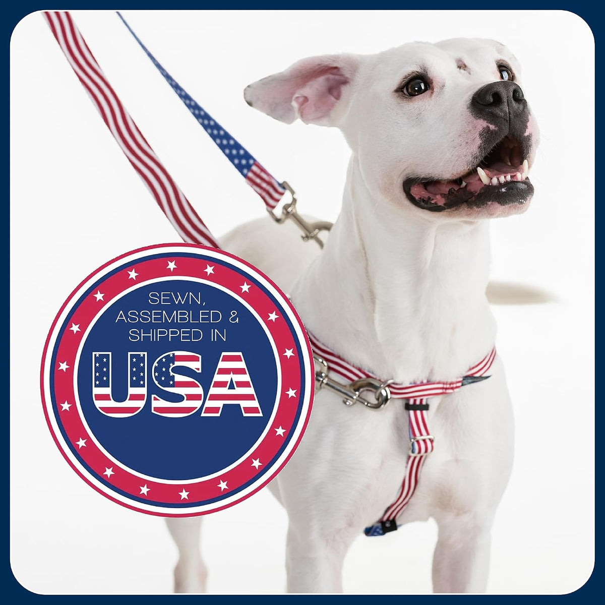 2 Hounds Design Freedom No Pull Dog Harness - Burgundy / LG (Chest 28" - 32") - image 4