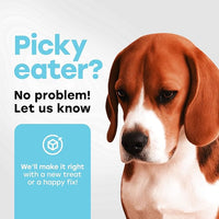 Probiotics for Dogs - PhD Endorsed Digestive Enzymes - Gut Health, Diarrhea & Bowel Support - Dog Treats with Turmeric, Omega-3 & Fiber - Immune Soft 140 Chews - Beef Flavor - Made in USA
