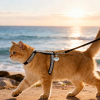 Cat Harness and Leash Set, Escape Proof Adjustable Cat Harness - Black Rhinestones / Medium - image 4