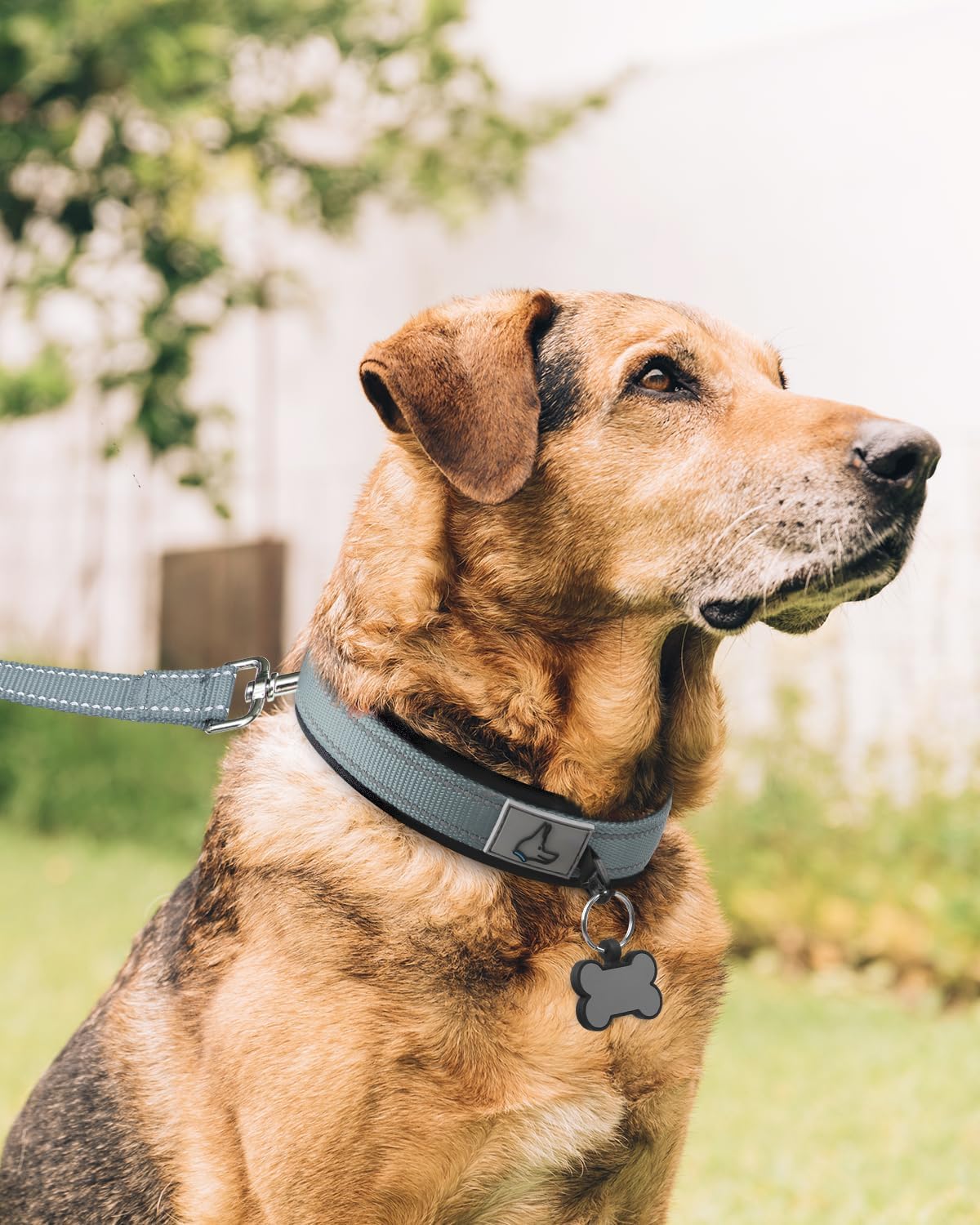 Joytale Reflective Dog Collar for Large Dogs with Wide Padding - Gray / XL - image 3