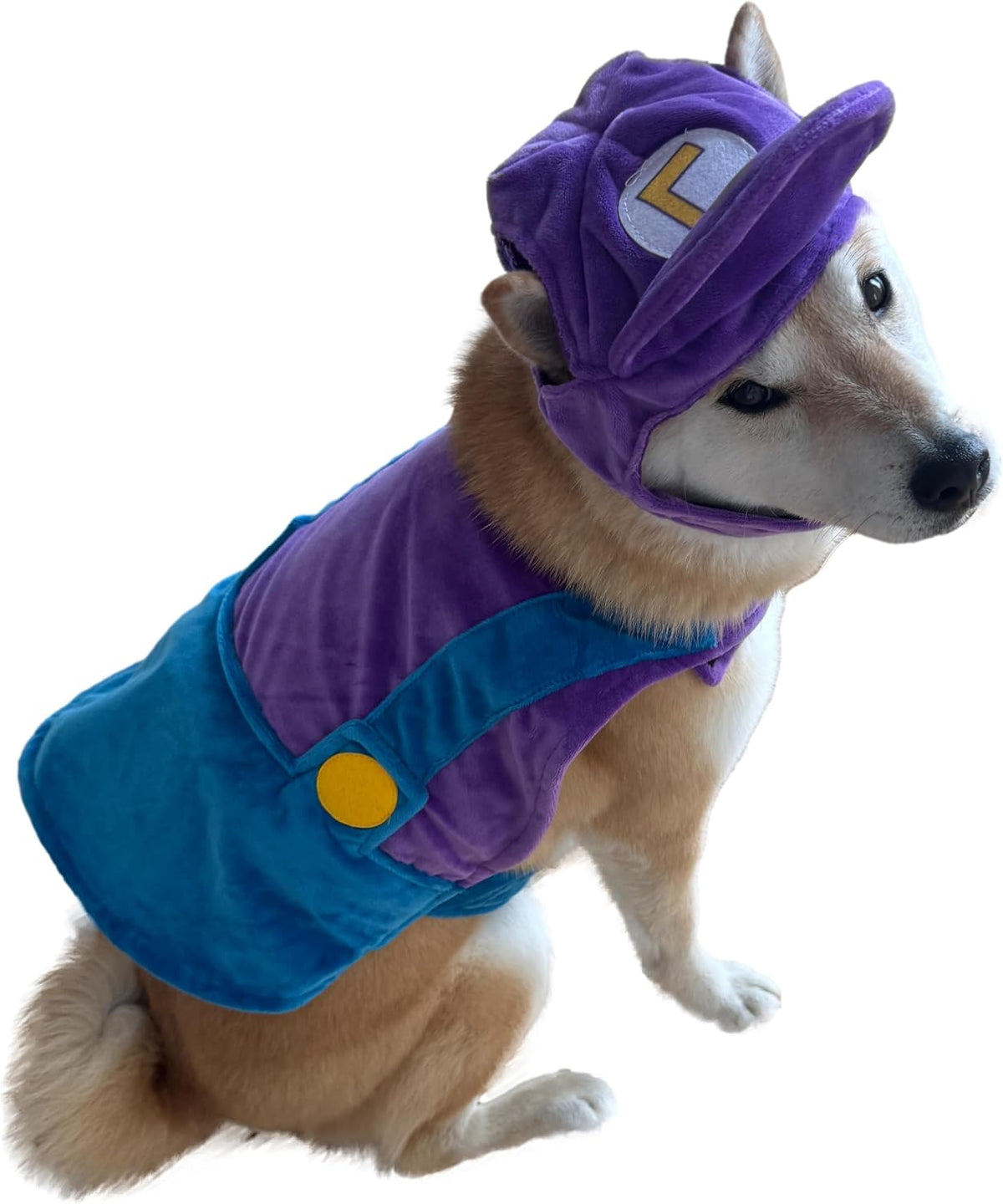 ComfyCamper Hat and Suspenders Dog Costume - Medium / Purple and Blue - image 2