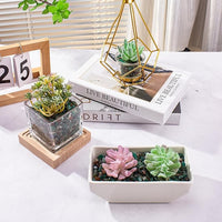 0.5 Lb/230g Green Agate Aquarium Gravel Rocks Crushed Stone Crystal Chips Bulk, Natural Crystal Quartz Stone Pebbles Irregular for Aquarium, Vase Fillers, Succulent Plants Decor - 5-7mm