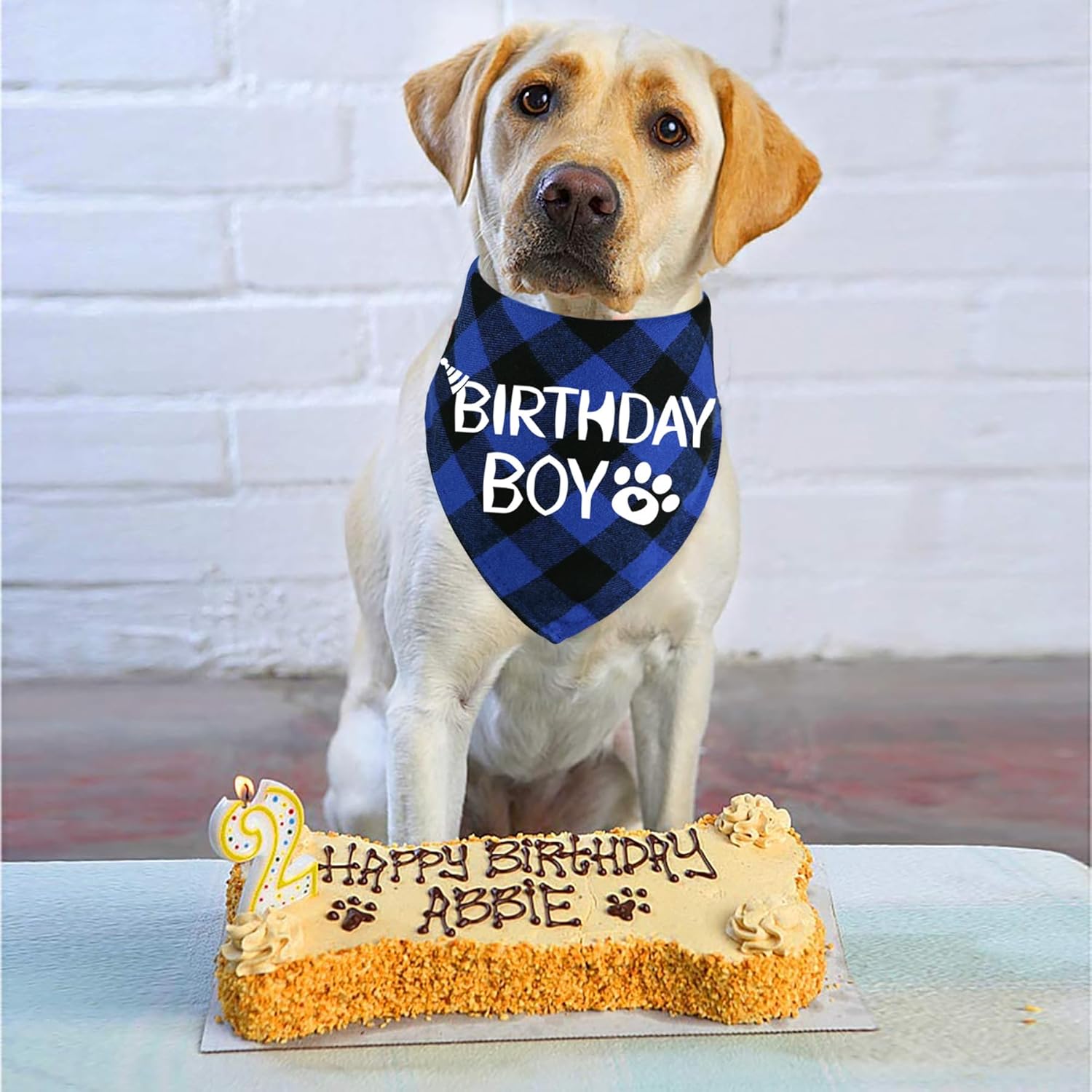 Dog Birthday Bandana – Premium Cotton Birthday Boy Bandana for Dogs - BIG FRENCHIES