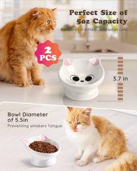 Raised Cat Food Bowl Ceramic 15° Tilted Cat Food Bowls Protect Cat's - Pink2P / 2 - image 2