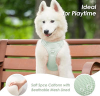 No Pull Dog Harness, Puppy Vest with Front Clip for Small Medium Large Sized Dog(Light Green,L)